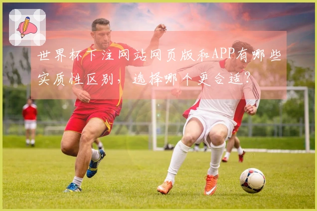 世界杯下注网站网页版和APP有哪些实质性区别，选择哪个更合适？