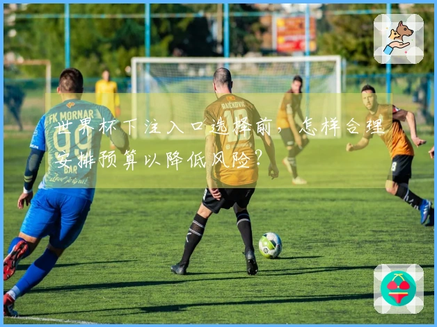 世界杯下注入口选择前，怎样合理安排预算以降低风险？