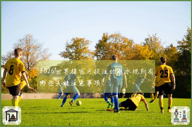 2026世界杯官方投注的返水规则有哪些关键注意事项？
