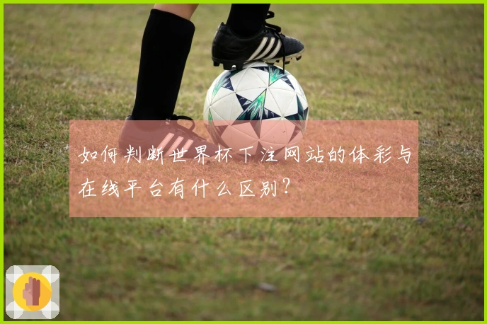 如何判断世界杯下注网站的体彩与在线平台有什么区别？