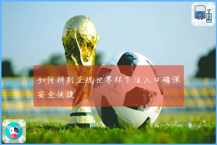 如何辨别正规世界杯下注入口确保安全快捷