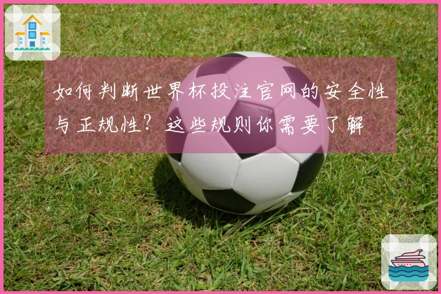 如何判断世界杯投注官网的安全性与正规性？这些规则你需要了解