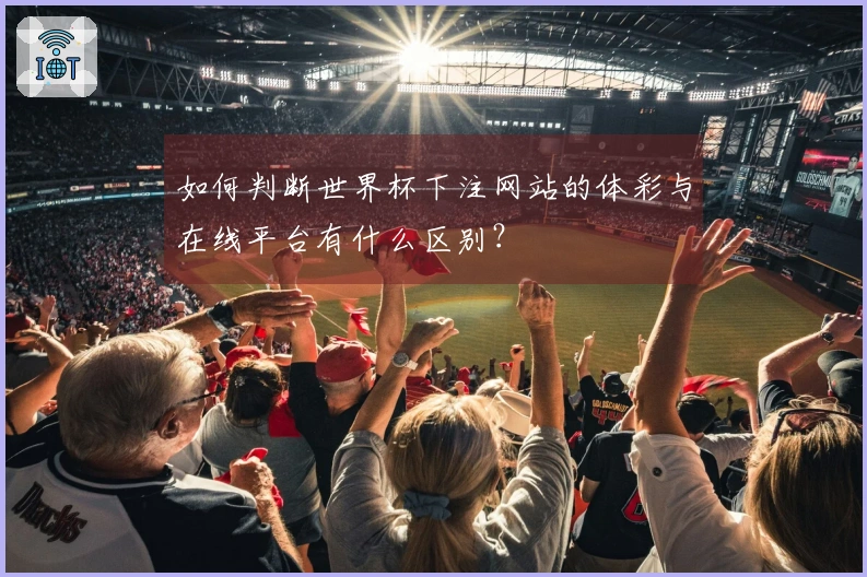 如何判断世界杯下注网站的体彩与在线平台有什么区别？